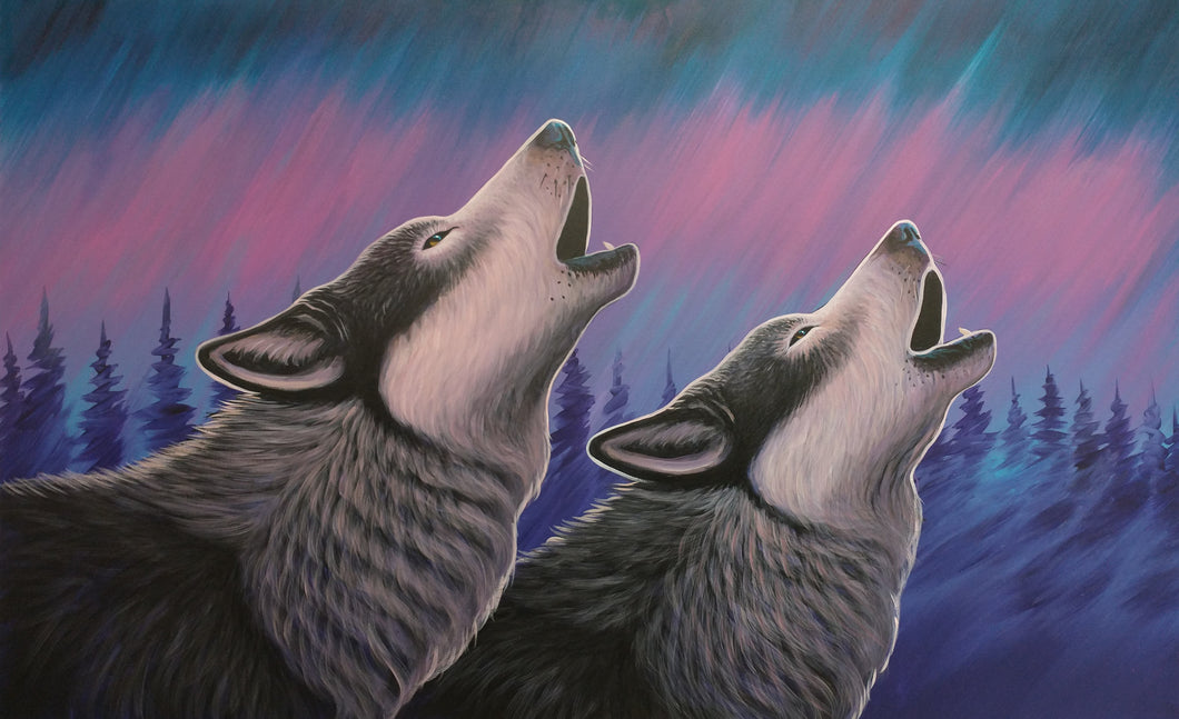 30x48