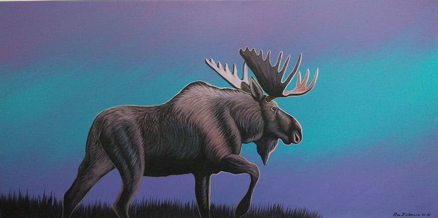 20x40