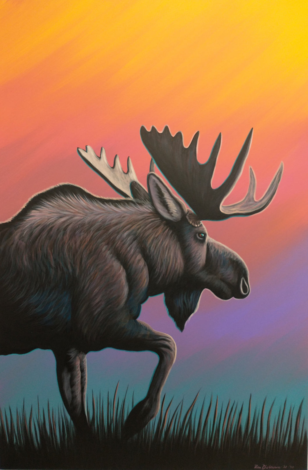 24x36